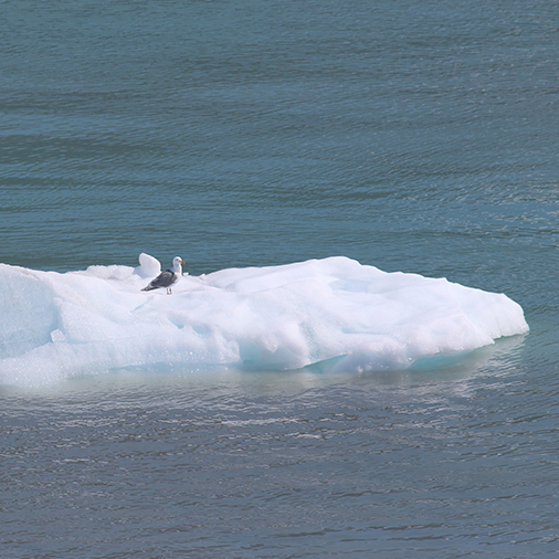 Turning Point Ministries Alaska Cruise Conference with David Jeremiah